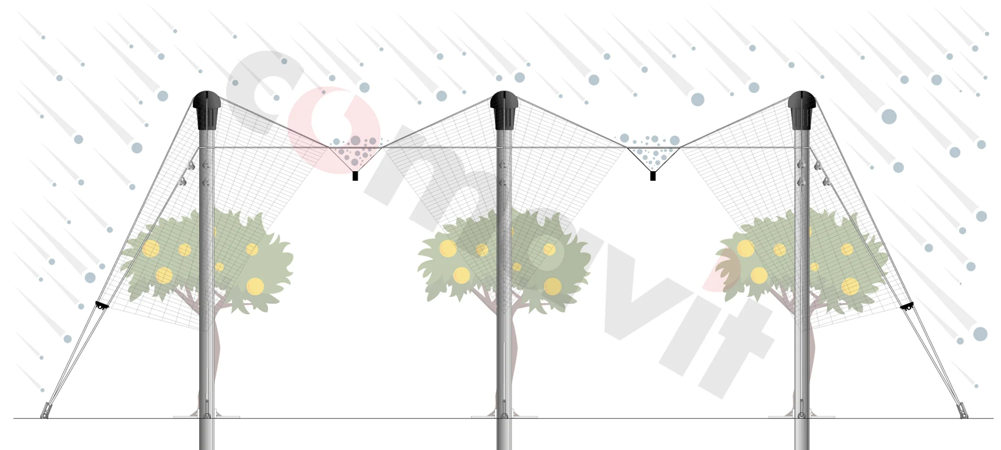 Protezione sistema a V frontale comavit pali per vigneti e frutteti - Comavit