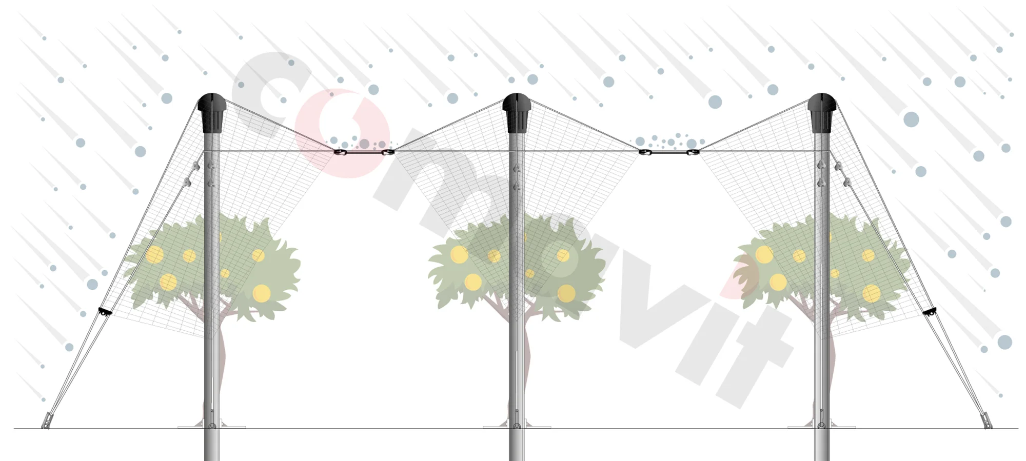 Protezione struttura ad elastici frontale comavit pali per vigneti e frutteti - Comavit