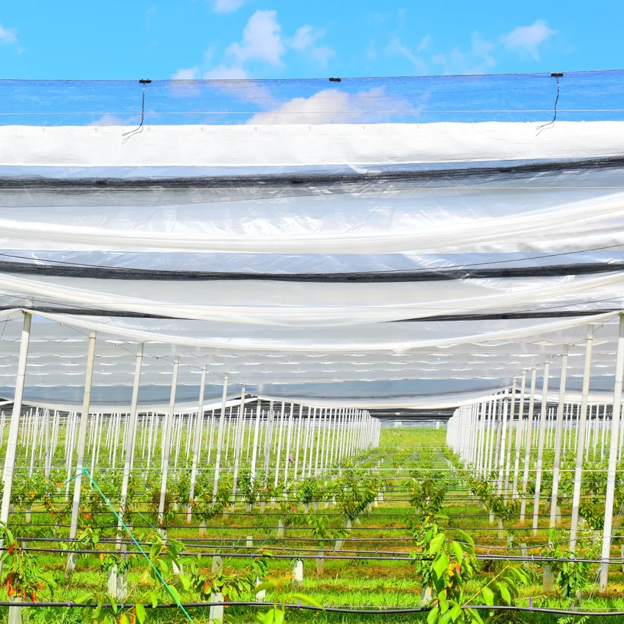 Doppio strato 5 comavit pali per vigneti e frutteti - Comavit
