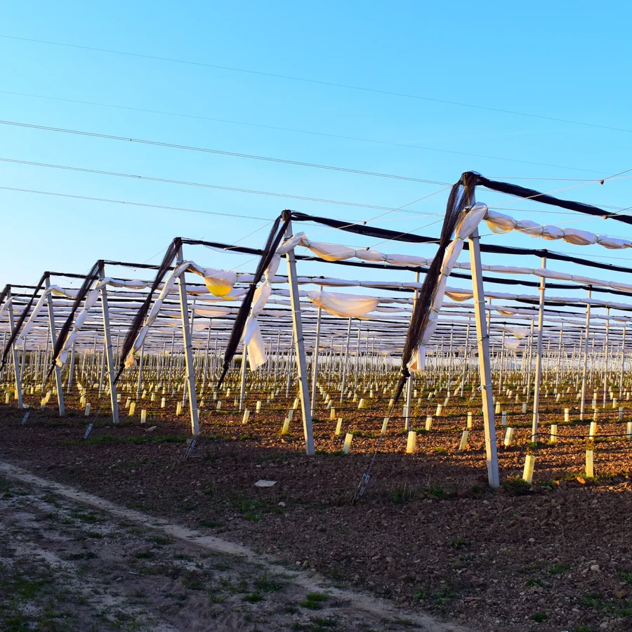 Doppio strato comavit pali per vigneti e frutteti - Comavit