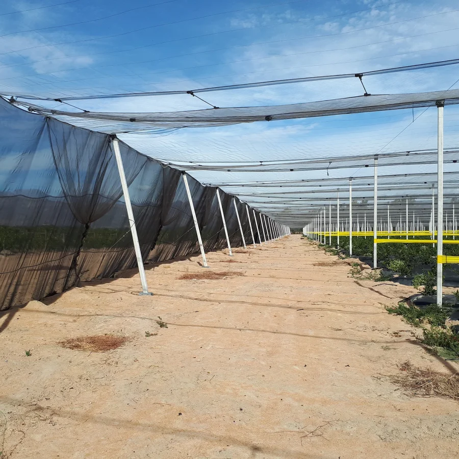 Sistema a v antigrandine 2 comavit pali per vigneti e frutteti - Comavit