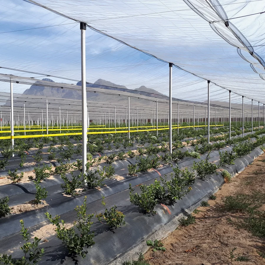 Sistema a v antigrandine 3 comavit pali per vigneti e frutteti - Comavit