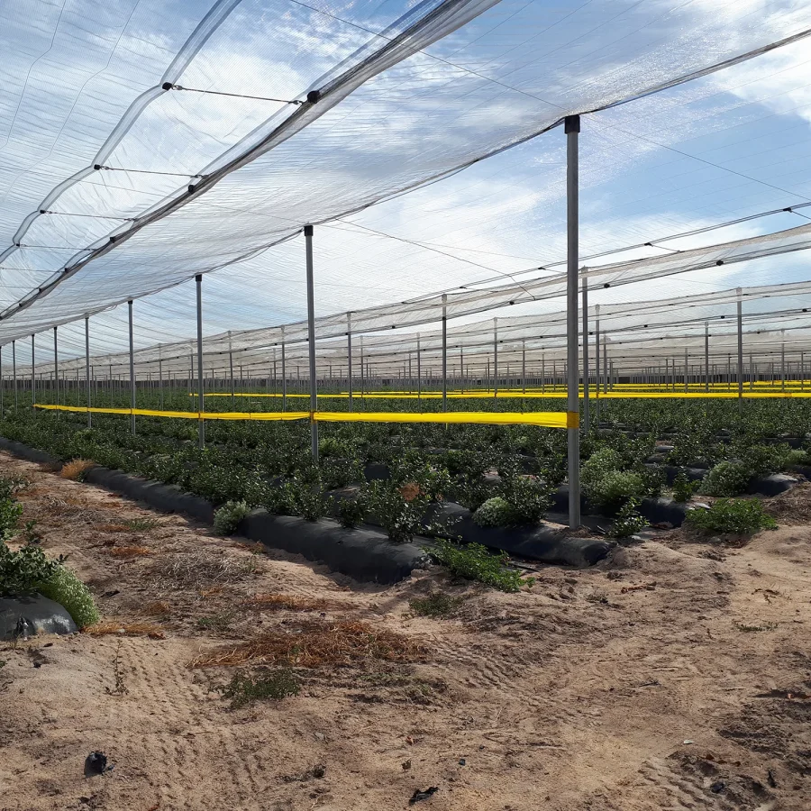 Sistema a v antigrandine comavit pali per vigneti e frutteti - Comavit