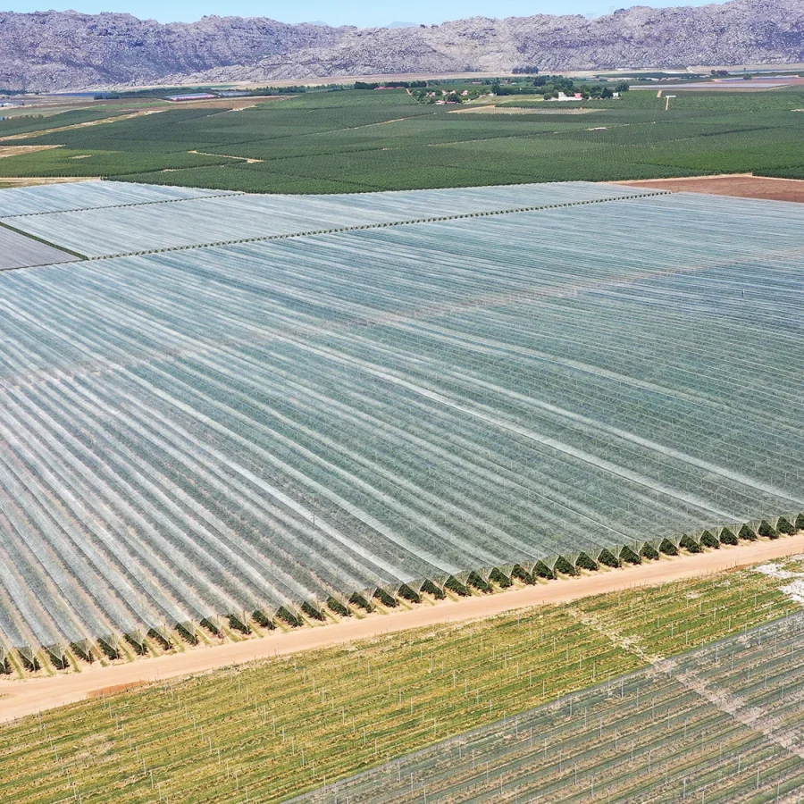 Struttura piana 2 comavit pali per vigneti e frutteti - Comavit