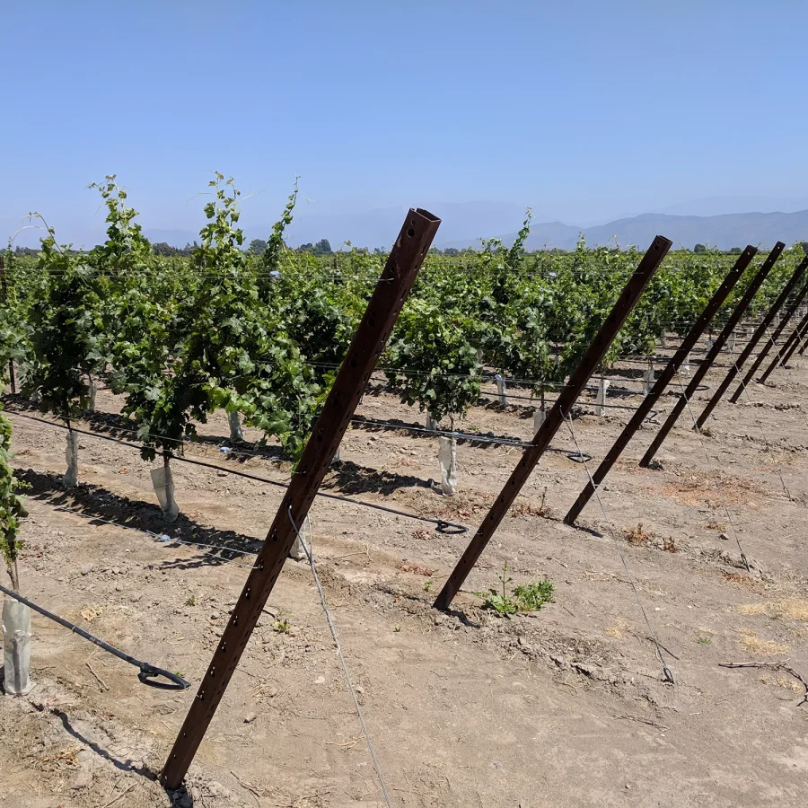 Vignwti pali corten comavit pali per vigneti e frutteti - Comavit