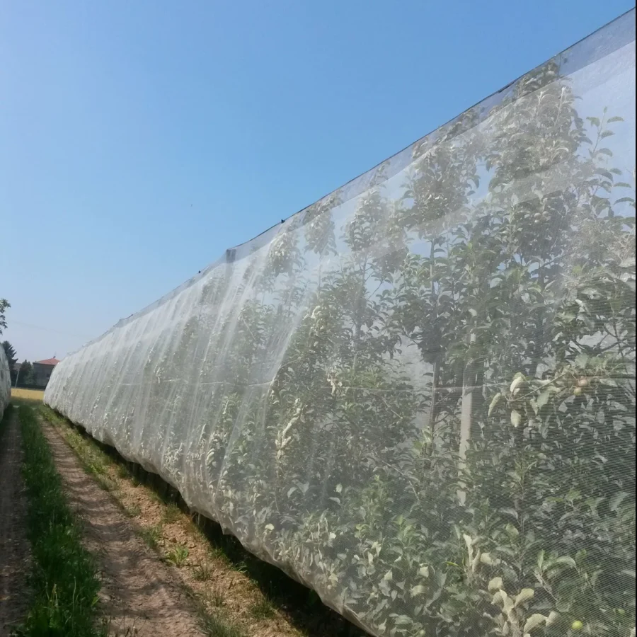 Protezione antinsetto comavit pali per vigneti e frutteti - Comavit