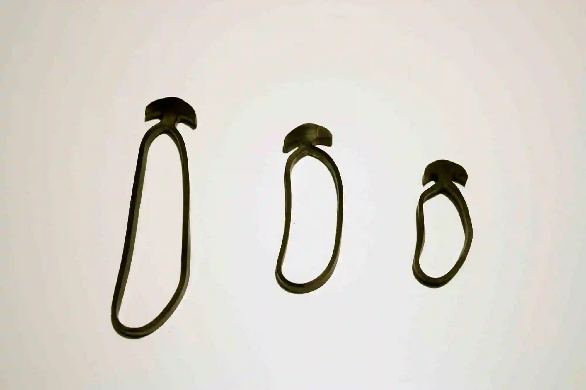 Gestionevegetazione elasticolegabarbatelle 02 - Comavit